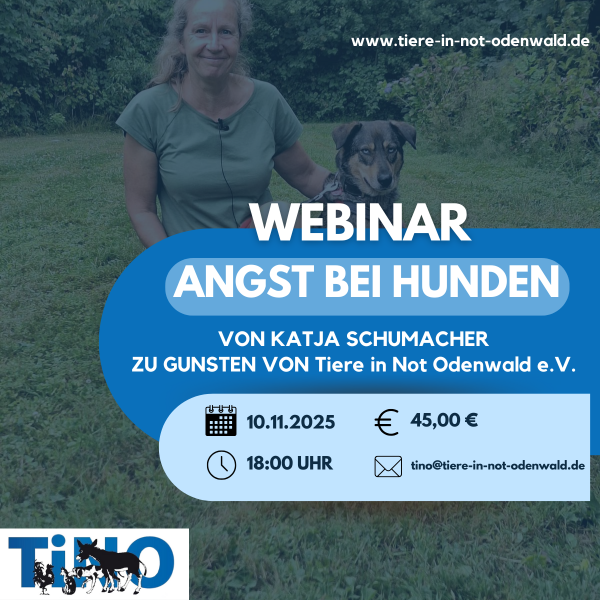 Webinar Katja 10.11.2025
