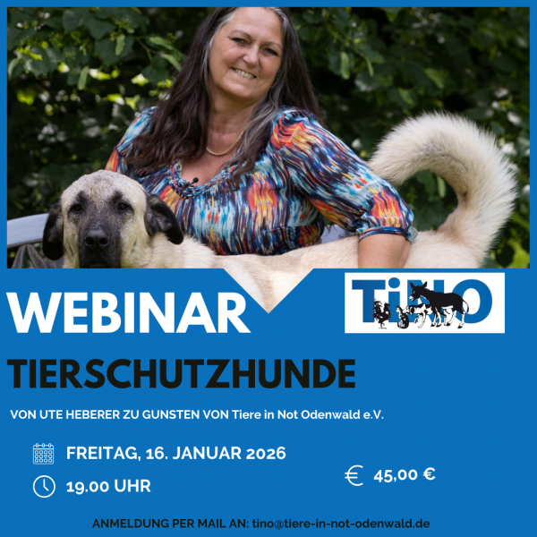 Webinar Ute 16.01.2026