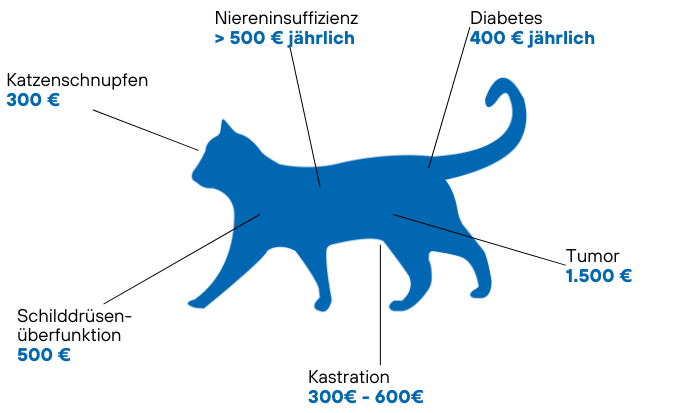 Kostenbeispiele Tierarzt für Katzen Kostenbeispiele Tierarzt für Katzen
